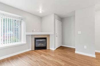 Gas fireplace